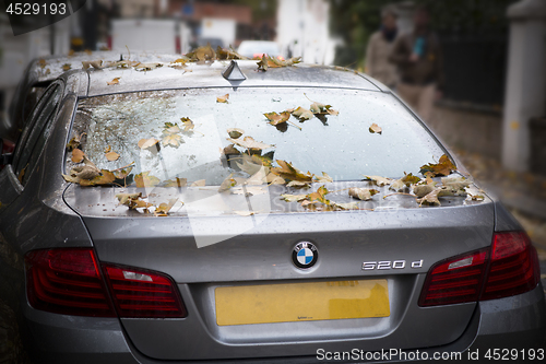 Image of Autumn Car