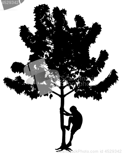 Image of Little boy climbing tree