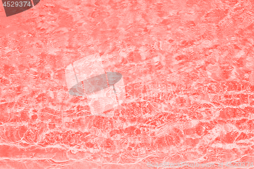 Image of abstract living coral color background