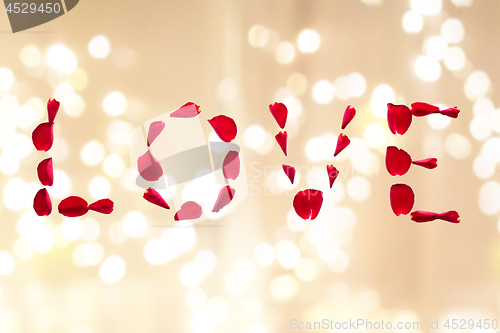 Image of word love made of red rose petals