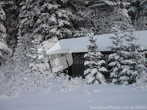 Image of cabin