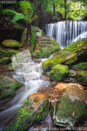 Image of Cascading waterfall through lush rainforest