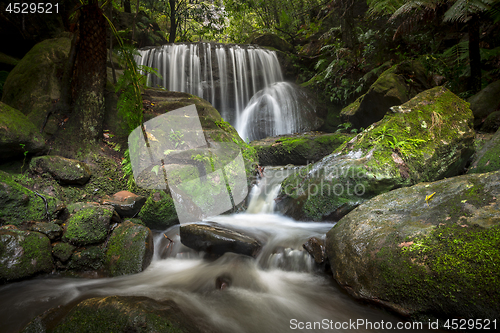 Image of Spectacular cascading waterfall in Leura