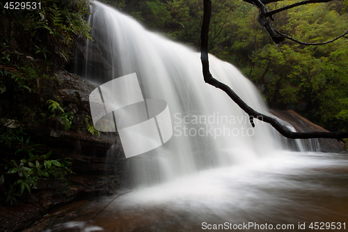 Image of Full flowing cascades in Wentworth Falls