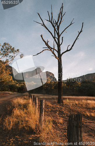 Image of Afternoon light in the mountain valley