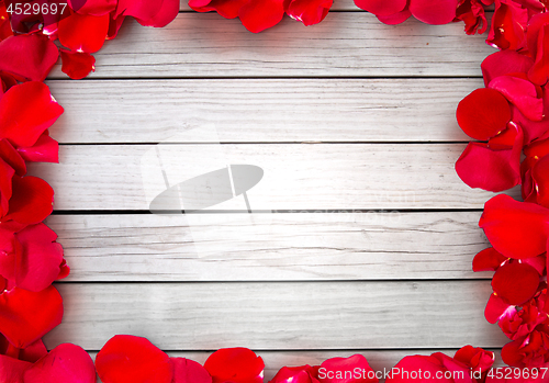 Image of close up of red rose petals blank frame