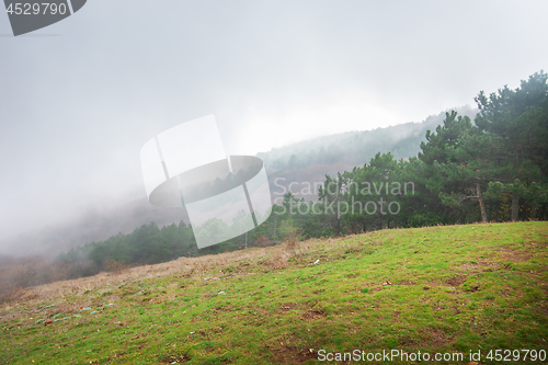 Image of Rain in the mountains