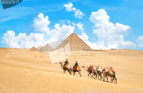 Image of Caravan of camels