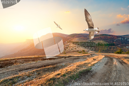 Image of Autumn mountains of Crimea