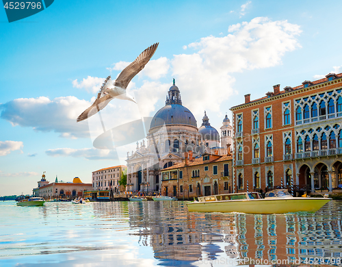 Image of Basilica di Santa Maria