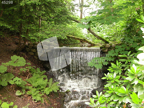 Image of Waterfall