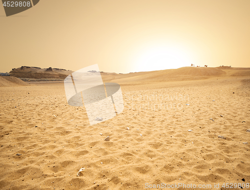 Image of Sandy desert in Egypt