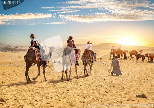 Image of Camels and tourists