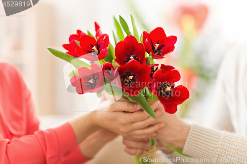 Image of close up of man giving red tulip flowers to woman