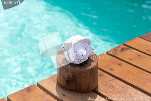 Image of seashell on wooden pier in sea water