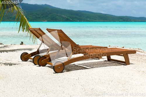 Image of tropical beach with palm tree and sunbeds