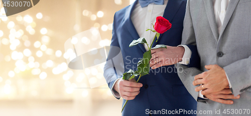 Image of close up of happy married male gay couple