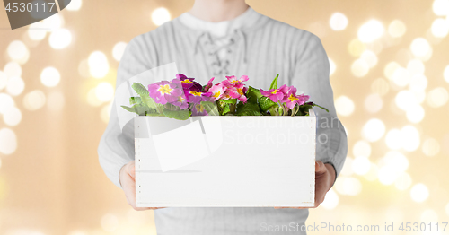Image of close up of man holding box with garden flowers