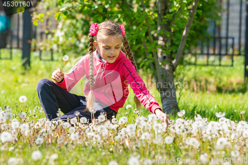 Image of A girl of ten years collects dandelions in the park