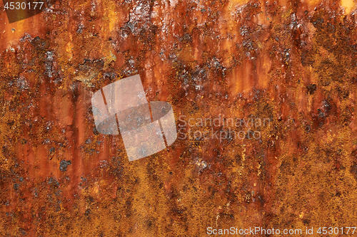 Image of Rusty metal texture 