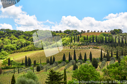 Image of Tuscany landscape, Toscana, Italy