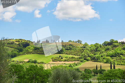 Image of Tuscany landscape, Toscana, Italy