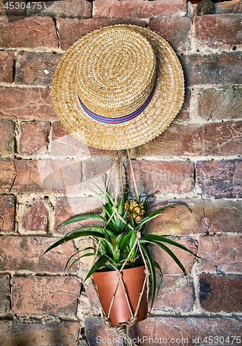 Image of wall decoration, Pienza, Italy