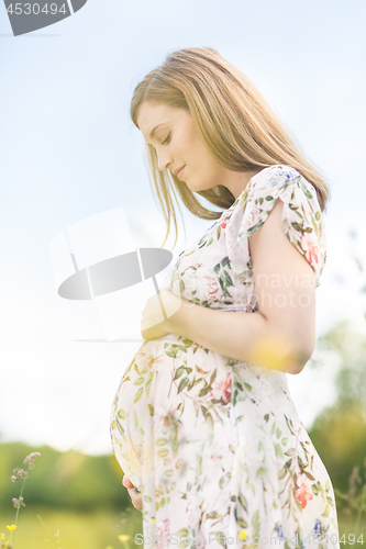 Image of Beautiful pregnant woman in white summer dress in meadow full of yellow blooming flovers.