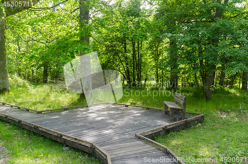 Image of Bench by a wooden footpath with a wooden platform in a nature re