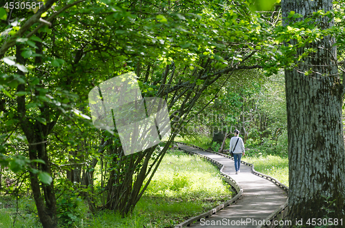 Image of Winding wooden footpath with a walking woman in a nature reserve