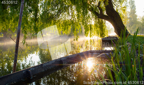 Image of Marshes of Bourges in the mist