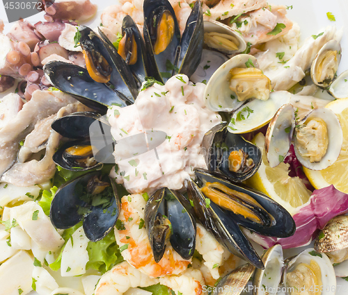 Image of Seafood shells mussels as a cold appetizer