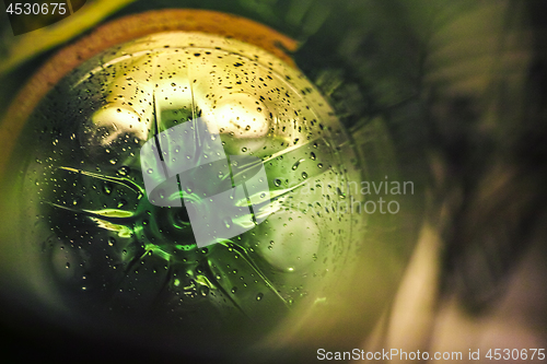 Image of Inside a green plastic bottle for recycle 