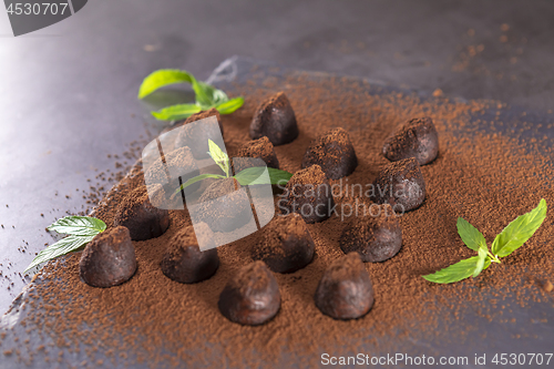 Image of Homemade chocolate truffles with mint sprinkled with cocoa powde