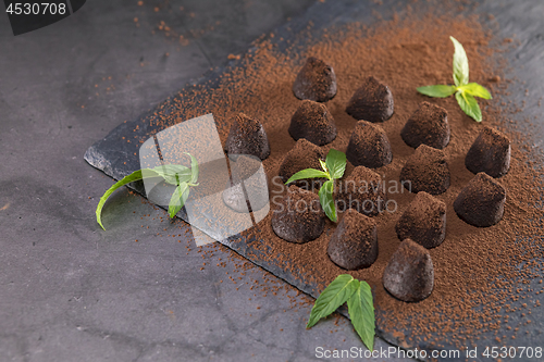 Image of Homemade chocolate truffles with mint sprinkled with cocoa powde
