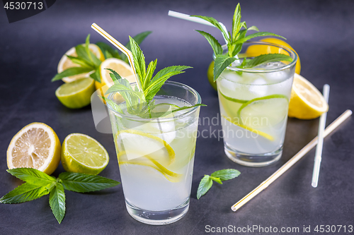 Image of Homemade refreshing summer lemonade with mint in a glas