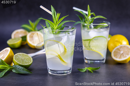 Image of Cold refreshing summer lemonade with mint in a glass