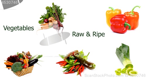 Image of Raw and Ripe Vegetables Collection