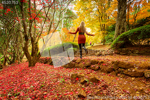 Image of Woman enjoying a walk in an Autumn garden