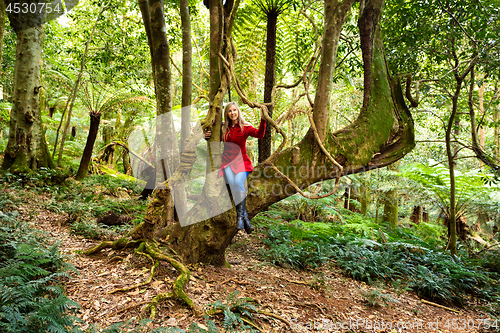 Image of Playing in nature\'s garden - woman sitting in large tree with hanging vines