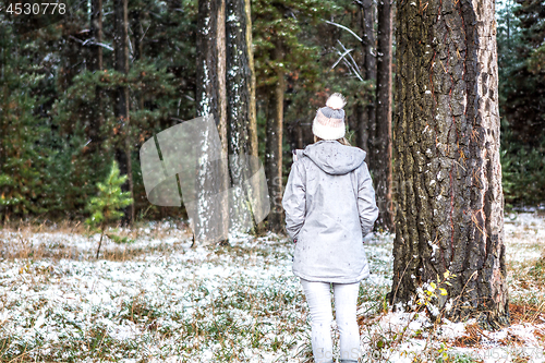 Image of Woman winter wanderings in the pine forest dusted with snow