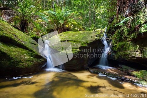 Image of Lush green foliage and twin waterfalls in nature