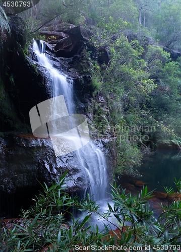 Image of Beautiful bushland waterfall in Blue Mountains