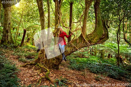 Image of Woman relaxing in a tree among nature\'s rainforest garden