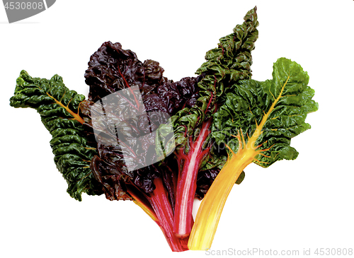 Image of Fresh Chard Leafs