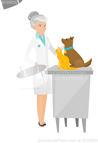 Image of Senior caucasian veterinarian examining pets.
