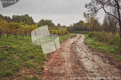 Image of Dirtroad in the countryside