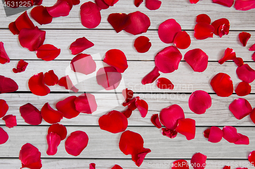 Image of close up of red rose petals