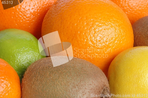 Image of Fruits