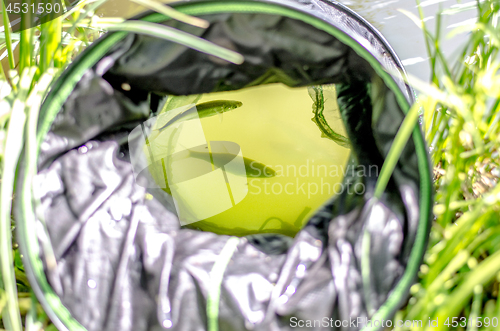 Image of Fish caught fishing sit in the cage.